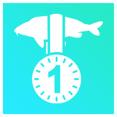 Icon for A Fin-tastic Start