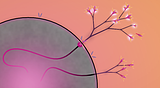 Eufloria HD