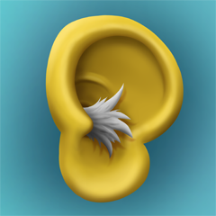 Alter, hörst du immer noch zu?