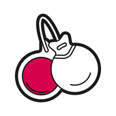 Ein denkwürdiger Sieg