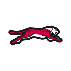 Schneller als ein Gepard