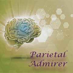 Parietal Admirer