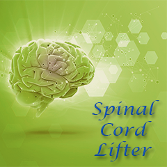 Spinal Cord Lifter